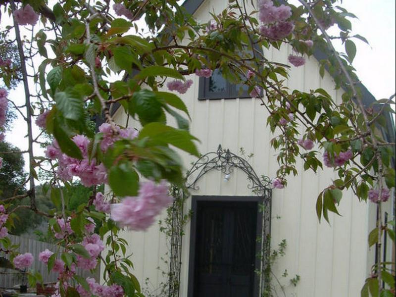 רייא Silverleaf Cottage מראה חיצוני תמונה